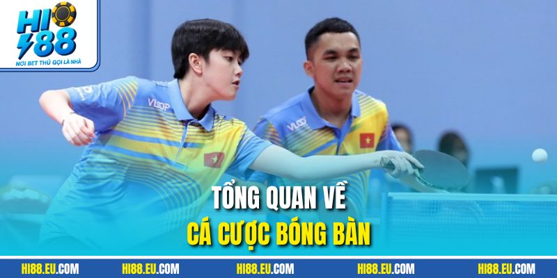 Tổng quan về cá cược bóng bàn